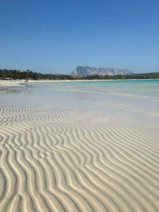 Nonna Antonietta Villa San Teodoro  0*, San Teodoro (Sardinia)
